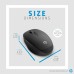 HP 300 Dual Mode Bluetooth Wireless Optical Mouse (Black)